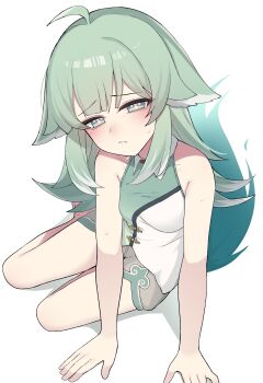 1girl absurdres ahoge animal_ears arm_support bare_arms bare_shoulders blush breasts closed_mouth fox_ears fox_girl fox_tail green_eyes green_hair green_shirt highres honkai:_star_rail honkai_(series) huohuo_(honkai:_star_rail) long_hair looking_at_viewer paingumi shirt shorts simple_background sitting sleeveless sleeveless_shirt small_breasts solo sweat tail white_background yokozuwari