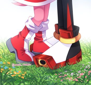 1boy 1girl amy_rose boots commentary couple dress english_commentary feet foot_focus hetero highres implied_kiss inked_whimsy on_grass red_boots red_dress shadow_the_hedgehog sonic_(series) standing