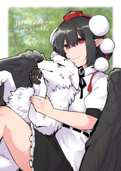 1girl absurdres animalization bird_wings black_hair black_ribbon black_skirt black_wings bright_pupils closed_mouth collared_shirt commentary_request feathered_wings frilled_skirt frills hat highres inubashiri_momiji inubashiri_momiji_(wolf) looking_at_viewer milestone_celebration min.k multi-source_commentary neck_ribbon pointy_ears pom_pom_(clothes) puffy_short_sleeves puffy_sleeves red_eyes red_hat ribbon shameimaru_aya shirt short_sleeves skirt tokin_hat touhou translation_request white_pupils white_shirt wings wolf