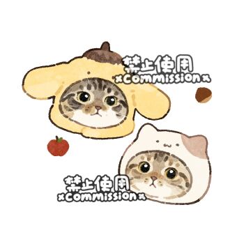 Rule 34 | animal focus, apple, cat, chestnut, commission, food, fruit, looking at viewer, mihuashi commission, no humans, original, pompompurin, square, whiskers, white background, xiao bo kuai kuai