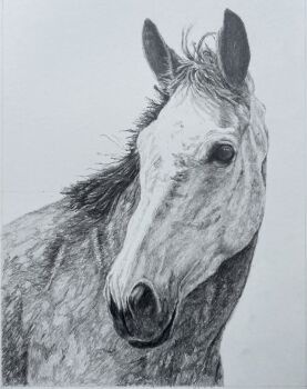 animal_focus commentary commission david_salter english_commentary graphite_(medium) greyscale highres horse looking_to_the_side monochrome no_humans original traditional_media