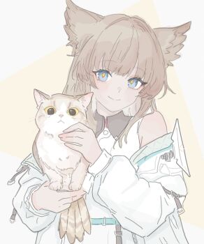 Rule 34 | 1girl, animal ears, arknights, arknights: endfield, bird, bird ears, bird tail, blue eyes, highres, jacket, makotan art, off shoulder, perlica (arknights), tail, white jacket, yellow pupils