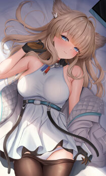 Rule 34 | 1girl, absurdres, ahoge, animal ears, arknights, arknights: endfield, bare shoulders, bed, bed sheet, black gloves, blue eyes, blush, breasts, brown gloves, brown hair, brown pantyhose, closed mouth, clothes pull, commentary request, cowboy shot, dress, from above, gloves, hair between eyes, hair intakes, hair ornament, hair spread out, halter dress, halterneck, head tilt, highres, jacket, large breasts, long hair, long sleeves, looking at viewer, lying, multicolored gloves, off shoulder, on back, on bed, open clothes, open jacket, panties, pantyhose, pantyhose pull, perlica (arknights), shouhaku0512, sideboob, sideless dress, sidelocks, solo, striped clothes, thighs, two-sided gloves, two-tone gloves, underwear, vertical-striped clothes, very long hair, wavy mouth, white dress, white jacket, white panties