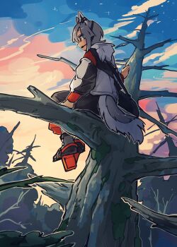 1girl absurdres alternate_costume animal_ears bare_tree black_pants closed_mouth commentary_request doggo_1d34 geta grey_hair hashtag-only_commentary hat headset highres hood hoodie inubashiri_momiji outdoors pants red_eyes red_hat red_sandals sandals sitting sitting_on_branch solo tail tengu-geta tokin_hat touhou tree white_hoodie wolf_ears wolf_girl wolf_tail
