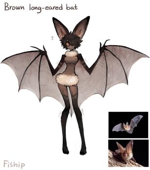 1girl absurdres animal_ears artist_name bat_ears bat_girl bat_wings brown_hair closed_mouth colored_skin commission creature_and_personification fur_collar fur_skirt grey_skin hair_over_one_eye highres looking_at_viewer matilda_fiship monster_girl neck_fur notice_lines one_eye_covered original personification pigeon-toed sharp_toenails short_hair simple_background smile spread_wings toenails white_background winged_arms wings yellow_eyes