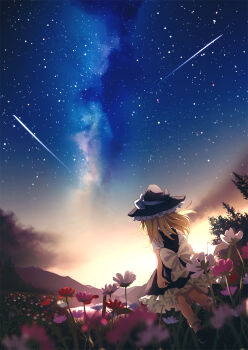 1girl black_skirt black_vest blonde_hair bow commentary_request dise_(psychoro) facing_away field flower flower_field frilled_skirt frills from_behind hat hat_bow highres kirisame_marisa long_hair outdoors pink_flower red_flower skirt sky socks solo star_(sky) starry_sky touhou tree vest white_bow white_flower white_socks witch_hat