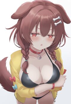 1girl absurdres animal_ears arms_under_breasts bikini black_bikini blush bone_hair_ornament braid breasts brown_eyes brown_hair cleavage collar commentary_request dog_ears dog_girl dog_tail hair_ornament highres hololive inugami_korone inugami_korone_(1st_costume) jacket large_breasts looking_at_viewer medium_hair nishiki_vx open_mouth red_collar solo swimsuit tail triangle_mouth twin_braids virtual_youtuber white_background yellow_jacket