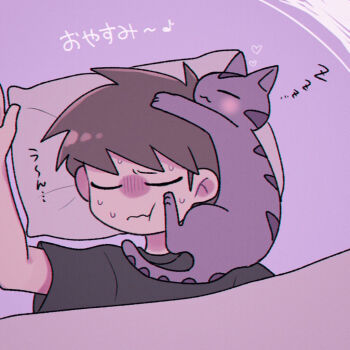 Rule 34 | 1boy, :3, = =, animal, animal hug, animal on head, antenna hair, arm up, black shirt, blush, brown hair, cat, cat on head, closed eyes, commentary request, cuddling, edd (eddsworld), eddsworld, grey cat, heart, male focus, mau (edd tom), musical note, on head, partially translated, pillow, purple background, ringo (eddsworld), shirt, short hair, simple background, sleeping, sweat, swept bangs, tabby cat, translation request, u u, under covers, zzz