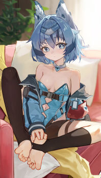 1girl absurdres animal_ears black_socks blue_eyes blue_hair breasts feet haimaotuanzi highres jacket leotard looking_at_viewer no_shoes original small_breasts socks solo stirrup_legwear toeless_legwear toes