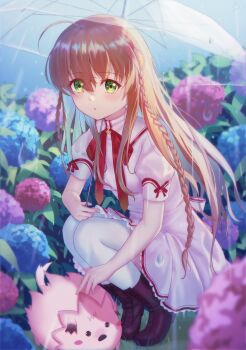 1girl :o absurdres ahoge backlighting blue_flower blurry blush blush_stickers boots bow braid brown_boots brown_hair chibi-moth commentary crown day depth_of_field dress eyelashes eyes_visible_through_hair film_grain flower flowingcrescent frilled_dress frills full_body garden green_eyes hair_between_eyes hair_flower hair_ornament highres holding holding_umbrella hydrangea kanbe_kotori kazamatsuri_institute_high_school_uniform lace-up_boots long_hair looking_at_viewer mini_crown neck_ribbon outdoors parted_lips pink_dress pink_flower puffy_short_sleeves puffy_sleeves purple_flower rain red_bow red_ribbon rewrite ribbon school_uniform short_dress short_sleeves sidelocks sleeve_bow solo squatting summer_uniform thighhighs transparent transparent_umbrella twin_braids umbrella under_umbrella very_long_hair white_thighhighs