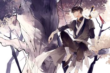 Rule 34 | 1boy, bandaged arm, bandaged leg, bandages, biyoo (omniscient reader's viewpoint), black hair, black robe, clothing request, commentary request, day, dumpling, elbow on knee, food, foodification, full body, highres, in tree, kim dokja, kkkktzr1, knee up, looking to the side, male focus, mandarin collar, omniscient reader's viewpoint, on branch, outdoors, robe, short hair, sitting, sitting in tree, sword, sword on back, tassel, tree, weapon, weapon on back, yoo joonghyuk