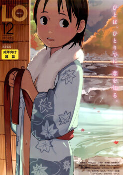 1girl black_eyes brown_hair comic_lo cover cover_page female_focus highres loli navel onsen open_clothes open_robe original robe short_hair solo takamichi