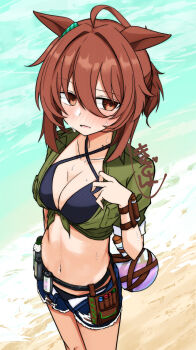 1girl agnes_tachyon_(lunatic_lab)_(umamusume) agnes_tachyon_(umamusume) ahoge animal_ears beach bikini bikini_under_clothes black_bikini blue_shorts blush breasts brown_eyes brown_hair commentary_request criss-cross_halter flask green_shirt hair_between_eyes halterneck horse_ears horse_girl navel official_alternate_costume official_alternate_hairstyle open_clothes open_fly open_shorts round-bottom_flask sena_kizahashi shirt shorts solo standing swimsuit test_tube umamusume water