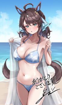 1girl ahoge animal_ears aqua_bikini aqua_eyes aqua_ribbon beach bikini blue_sky breasts cleavage clothing_request cloud collarbone colored_inner_animal_ears commentary_request commission cowboy_shot daring_tact_(umamusume) day dress hair_ornament hair_ribbon horizon horse_ears horse_girl horse_tail large_breasts long_hair navel ocean outdoors parted_lips ribbon see-through_clothes see-through_dress sg_(esujii) skeb_commission sky solo star_(symbol) star_hair_ornament swimsuit tail umamusume