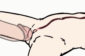 1boy 1girl age_difference animated animated_gif ass blue_archive cleft_of_venus clitoral_hood clitoral_stimulation clitoris crotch_rub cum cum_in_pussy drifter hetero just_the_tip koharu_(blue_archive) loli missionary nude penis pouring_semen pulsating_cumshot pussy rubbing simple_background spread_legs uncensored urethra white_background x-ray