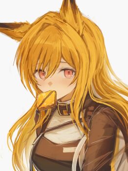 1girl 3_(sanyako1) absurdres animal_ears arknights blonde_hair breasts brown_dress ceobe_(arknights) close-up commentary_request dog_ears dog_girl dot_nose dress food_in_mouth hair_intakes highres large_breasts light_blush long_hair long_sleeves looking_at_viewer mouth_hold red_eyes simple_background solo upper_body white_background