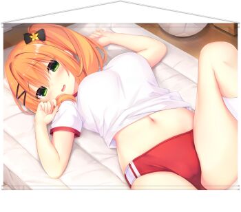 Rule 34 | 1girl, black bow, blush, bow, breasts, buruma, clothes lift, double vertical stripe, green eyes, gym shirt, gym uniform, hair between eyes, hair bow, hair ornament, hairclip, hamidashi creative, hanging scroll, highres, knee up, large breasts, lying, madosoft, medium hair, navel, on back, open mouth, orange hair, red buruma, ryuukan ameri, scroll, shirt, shirt lift, short sleeves, smile, socks, solo, thighs, transparent background, utsunomiya tsumire, white shirt, white socks