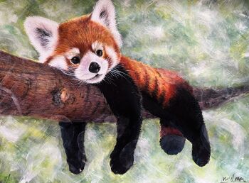 absurdres animal animal_focus branch commentary_request highres madmar no_humans on_branch original red_panda signature traditional_media