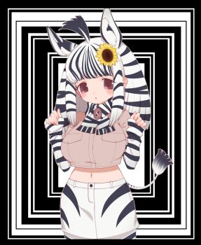 1girl animal_ears animal_print black_hair brown_eyes extra_ears flower hair_ornament highres jacket kemono_friends long_hair looking_at_viewer mountain_zebra_(kemono_friends) navel notora pantyhose scarf shirt shorts simple_background solo tail white_hair zebra_ears zebra_girl zebra_print zebra_tail