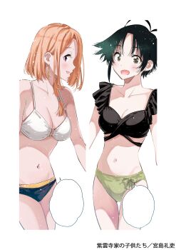 Rule 34 | 2girls, :d, absurdres, antenna hair, armpit crease, bikini, bikini day, black bikini, breasts, choppy bangs, cleavage, collarbone, commentary request, copyright name, earrings, green bikini, green eyes, green hair, highres, jewelry, large breasts, light blush, looking at viewer, medium breasts, medium hair, miyajima reiji, multiple girls, navel, o-ring, o-ring bikini bottom, o-ring top, official art, open mouth, orange hair, parted bangs, purple eyes, shade, shiunji-ke no kodomotachi, shiunji banri, shiunji minami, short hair, siblings, sidelocks, simple background, sisters, smile, stomach, swimsuit, thigh gap, white background, white bikini