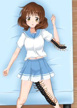 1girl bed blue_trim bug centipede collarbone hanging_legs looking_past_viewer monster navel peril raised_eyebrows rgm79 school_uniform serafuku