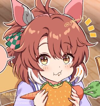 1girl 96mubi ahoge animal_ears blush bow brown_eyes brown_hair burger checkered_ribbon dantsu_flame_(umamusume) ear_covers ear_ornament ear_ribbon eating food hair_between_eyes holding holding_burger holding_food horse_ears horse_girl looking_at_viewer multicolored_hair occhahoi school_uniform shirt solo tracen_school_uniform umamusume umamusume:_beginning_of_a_new_era watermark white_hair