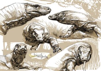 animal_focus dragonizm highres komodo_dragon long_tongue looking_at_viewer multiple_views no_humans original tongue tongue_out two-tone_background