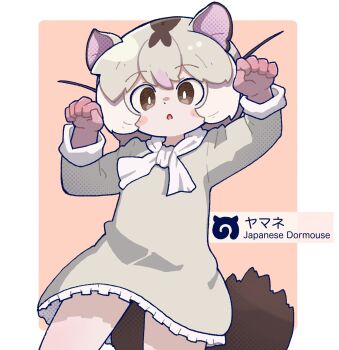 Rule 34 | 1girl, animal ears, arms up, brown eyes, dormouse (kemono friends), dress, extra ears, grey dress, grey hair, highres, japari symbol, kemono friends, looking at viewer, mouse ears, mouse girl, mouse tail, pink background, scarf, short hair, simple background, solo, sorairo meronpan, tail, white scarf