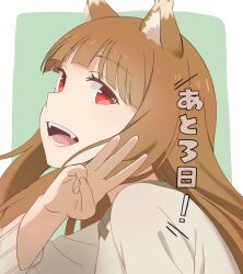 Rule 34 | 1girl, absurdres, animal ears, artist request, blunt bangs, brown hair, commentary request, countdown, highres, holo, long hair, looking at viewer, looking to the side, official art, red eyes, solo, spice and wolf, wolf ears, wolf girl