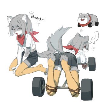animal_ears body_fur bound closed_eyes doge flying_sweatdrops from_behind furry furry_female grey_fur grey_hair highres i_am_a_spacebar looking_at_viewer medium_hair meme neckerchief open_mouth original red_eyes red_neckerchief short_shorts shorts simple_background sitting tail tied_up toeless_legwear wariza wheel white_background wolf_ears wolf_tail yellow_legwear