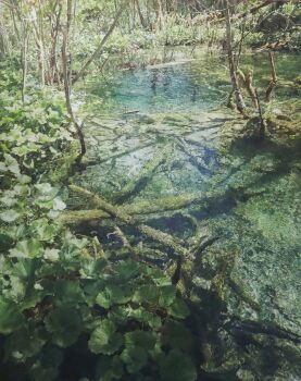 Rule 34 | absurdres, commentary request, day, dead plants, forest, highres, naohiro ito, nature, original, outdoors, painting (medium), plant, pond, realistic, scenery, shadow, shallow water, sunlight, traditional media, tree shade, water, wetland