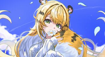 Rule 34 | 1girl, alternate costume, animal ear fluff, animal ears, blue sky, closed mouth, colored inner hair, commentary, english commentary, flower, green eyes, head tilt, highres, holding, holding flower, ju fufu, looking at viewer, multicolored hair, nyanine9, shirt, sky, solo, sparkling eyes, striped fur, striped hair, tail, tiger ears, tiger girl, tiger stripes, tiger tail, white flower, white shirt, zenless zone zero
