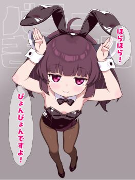 1girl animal_ears armpits arms_up black_bow black_bowtie black_leotard black_shoes blunt_bangs bow bowtie brown_pantyhose closed_mouth detached_collar fake_animal_ears from_above full_body headgear high_heels highres jitome knife_hair_ornament leotard loli looking_at_viewer nattocurryumeee pantyhose playboy_bunny pumps shoes smile solo strapless strapless_leotard touhoku_kiritan translation_request voiceroid wrist_cuffs