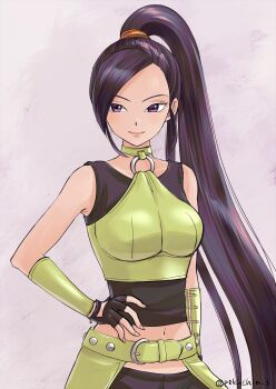 1girl bare_shoulders black_gloves commentary_request dragon_quest dragon_quest_xi fingerless_gloves gloves high_ponytail highres long_hair looking_at_viewer martina_(dq11) midriff navel o-ring o-ring_top pekuchin_(pekuchin_3) ponytail purple_eyes purple_hair smile solo twitter_username upper_body very_long_hair