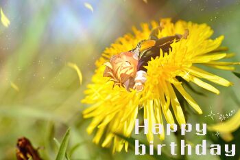 1boy black_jacket black_necktie black_pants blonde_hair blurry blurry_background blurry_foreground chibi chibi_only closed_eyes dated depth_of_field english_text falling_petals fangs field flower flower_field grass happy_birthday highres hyena_boy hyena_ears jacket light_particles long_sleeves lying male_focus mau_sakura mini_person miniboy necktie on_back open_mouth outdoors pants petals ruggie_bucchi shirt short_hair sleeping smile solo sparkle sunflower twisted_wonderland vest white_shirt yellow_flower yellow_petals yellow_vest