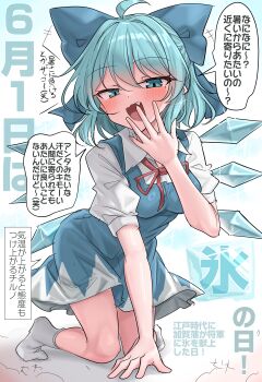 1girl absurdres ahoge blue_bow blue_dress blue_eyes blue_hair blush bow breasts cirno collared_shirt commentary_request detached_wings dress fang hair_bow highres ice ice_wings kneeling looking_at_viewer medium_breasts medium_hair mesugaki_pose neck_ribbon open_mouth pinafore_dress puffy_short_sleeves puffy_sleeves red_ribbon ribbon shirt short_sleeves sleeveless sleeveless_dress smile socks solo speech_bubble touhou translation_request white_shirt white_socks wings youyume-kun