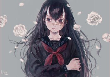1girl bandaid bandaid_on_face black_eyes black_hair black_serafuku bruise bruise_on_face commentary_request expressionless flower highres injury kurashiki_touka long_hair looking_to_the_side multicolored_hair original petals rose school_uniform serafuku solo two-tone_hair upper_body white_flower white_hair white_rose