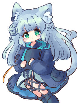 1girl animal_ear_fluff animal_ears arknights blue_jacket book cat_ears cat_girl cat_tail closed_mouth commentary dress green_eyes grey_hair highres holding holding_book jacket long_hair long_sleeves looking_at_viewer rosmontis_(arknights) simple_background solo tail thick_eyebrows white_background yopi_(user_wdgp8532)