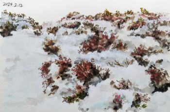 2024 absurdres bush commentary_request dated harusa1107 highres hill no_humans original painting_(medium) plant plant_focus snow traditional_media weeds white_background