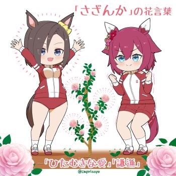 Rule 34 | >:), 2girls, air groove (umamusume), blue eyes, blush, breasts, brown hair, buruma, capriccyo, clenched hands, closed mouth, commentary request, flower, gym shorts, hair between eyes, highres, jacket, medium breasts, multiple girls, pink flower, pink rose, purple hair, red buruma, red jacket, red shorts, rose, sakura chiyono o (umamusume), shoes, shorts, smile, socks, standing, track jacket, translation request, trembling, twitter username, umamusume, v-shaped eyebrows, white background, white shoes, white socks