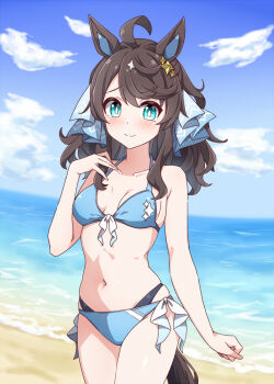 Rule 34 | 1girl, animal ears, beach, bikini, blue bikini, blue eyes, blue sky, bright pupils, cloud, commentary request, daring tact (umamusume), day, hiro (pqtks113), horse ears, horse girl, horse tail, ocean, outdoors, sky, solo, swimsuit, tail, umamusume, white pupils