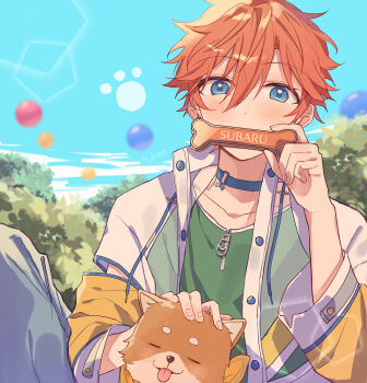 1boy absurdres akehoshi_subaru blue_choker blue_eyes blue_sky blurry blurry_background blush bone character_name choker daikichi_(ensemble_stars!) dog ensemble_stars! hair_between_eyes highres holding holding_bone jacket looking_at_viewer male_focus open_clothes open_jacket orange_hair outdoors paw_print petting short_hair sky solo zu_tonatuyasumi