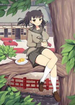 1girl ahoge architecture breasts brown_eyes brown_hair brown_sailor_collar brown_shirt brown_skirt crossed_legs cup east_asian_architecture game_cg green_tea heart heart_ahoge holding holding_cup hot_drink in_tree large_breasts leaf long_hair looking_at_viewer misato_(senran_kagura) non-web_source official_art outdoors parted_lips plate pleated_skirt sailor_collar school_uniform senran_kagura senran_kagura_new_wave shirt short_twintails sitting sitting_in_tree skirt smile solo tea tohno_tengu_shinobi_group_uniform tree twintails wind