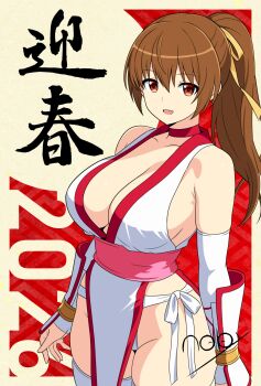 1girl 2026 bare_shoulders breasts brown_eyes brown_hair cleavage dead_or_alive gians_noby happy_new_year highres kasumi_(doa) large_breasts long_hair looking_at_viewer new_year panties pelvic_curtain ponytail short_sleeves sleeveless thick_thighs thighhighs thighs underwear