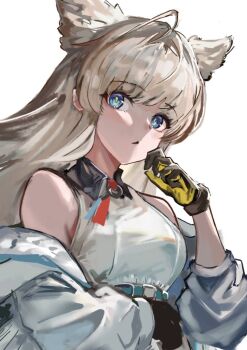 Rule 34 | ahoge, animal ears, arknights, arknights: endfield, bare shoulders, bird ears, bird girl, blue eyes, coat, commentary request, dress, gloves, grey hair, long hair, looking at viewer, multicolored gloves, off shoulder, open clothes, open coat, perlica (arknights), simple background, sleeveless, sleeveless dress, two-tone gloves, upper body, white background, white coat, white dress, zawzawa