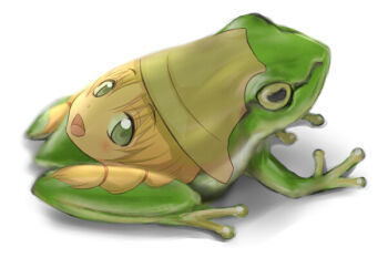 Rule 34 | animal, ao usagi, blonde hair, bodypaint, dokonjou gaeru, female focus, frog, from above, from side, full body, green eyes, hat, looking at viewer, md5 mismatch, moriya suwako, no humans, revision, role reversal, simple background, solo, tms entertainment, touhou, what, white background