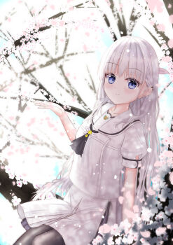 1girl absurdres arm_at_side ascot backlighting black_ascot blue_eyes blush branch cherry_blossoms closed_mouth commentary_request cowboy_shot day falling_petals hair_behind_ear hair_between_eyes hair_ornament hair_over_shoulder hairclip hand_up highres long_hair looking_at_viewer mao_sirahama miniskirt naruse_shiroha on_branch outdoors parallel_hairclips petals puffy_short_sleeves puffy_sleeves sailor_collar school_uniform serafuku shirt short_sleeves sitting sitting_on_branch skirt smile solo split_mouth spring_(season) summer_pockets summer_pockets_school_uniform tree very_long_hair white_hair white_sailor_collar white_serafuku white_shirt white_skirt