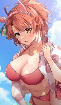 1girl absurdres alternate_costume animal_ears bikini blue_sky blurry blush bokeh breasts brown_eyes brown_hair cleavage cloud cloudy_sky commentary_request dantsu_flame_(umamusume) day depth_of_field ear_covers highres horse_ears horse_girl large_breasts looking_at_viewer multicolored_hair navel open_clothes open_mouth open_shirt outdoors ponytail red_bikini sakura_yoru shirt skindentation sky solo streaked_hair sweat swimsuit umamusume white_shirt white_streaks