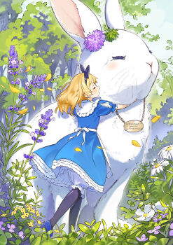 1girl alice's_adventures_in_wonderland animal apron black_bow blonde_hair bloomers blue_dress blue_shoes bow closed_eyes dress frilled_dress frills from_behind hair_bow highres hug medium_hair open_mouth original oversized_animal rabbit shoes underwear wakuseiy white_apron white_bloomers white_fur