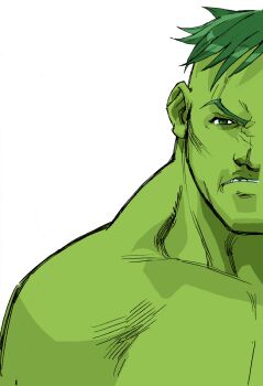 Rule 34 | 1boy, bengus, capcom, close-up, colored skin, game cg, green hair, green skin, highres, hulk, male focus, marvel, marvel vs. capcom, marvel vs. capcom 1, muscular, muscular male, non-web source, official art, portrait, solo, teeth, upper body, white background